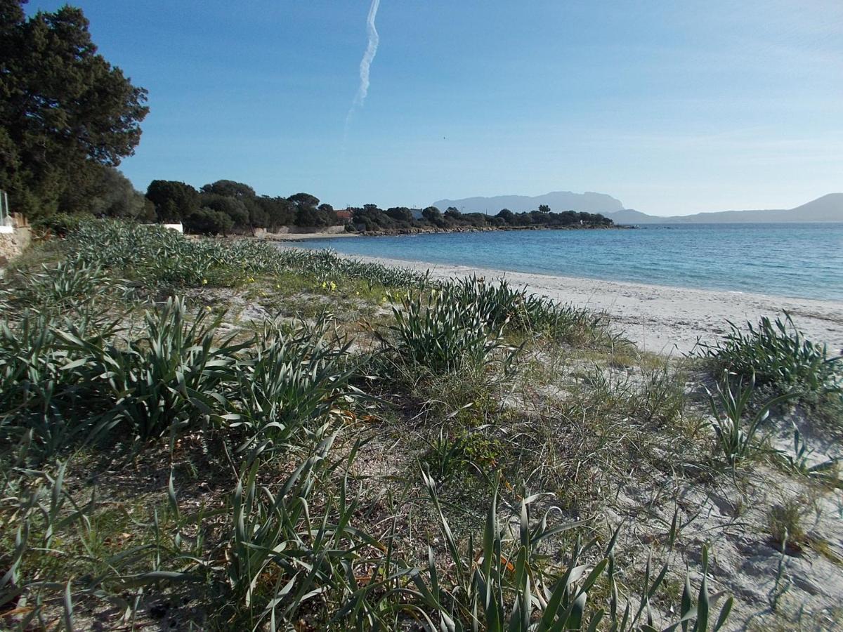 Magibac Due - Casa Vicino Aeroporto E Mater Olbia Apartment Екстериор снимка